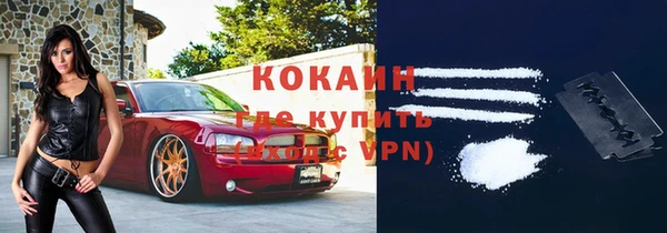 дживик Елабуга
