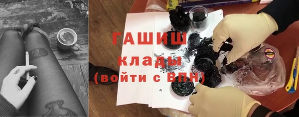 молекула духа Ельня