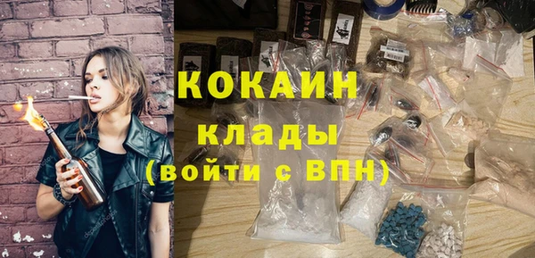 кокс Елизово