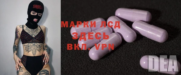 молекула духа Ельня