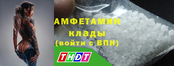 молекула духа Ельня