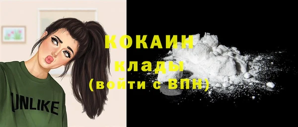 кокс Елизово