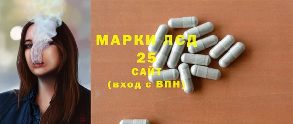 кокс Елизово