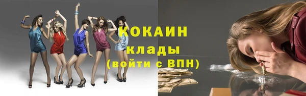 кокс Елизово