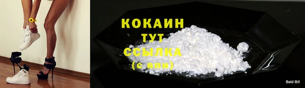 кокс Елизово