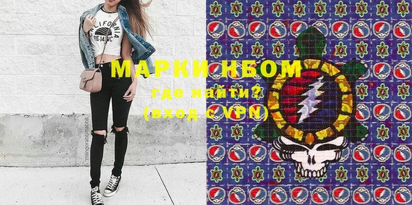 молекула духа Ельня