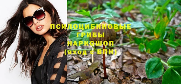 кокс Елизово