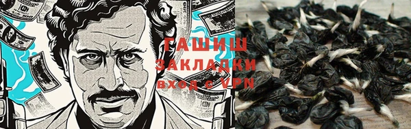 кокс Елизово