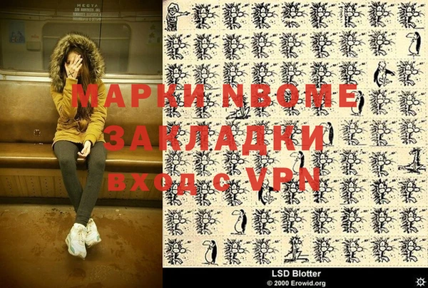 молекула духа Ельня