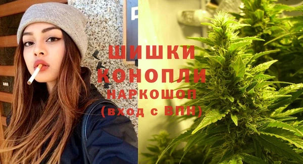 молекула духа Ельня