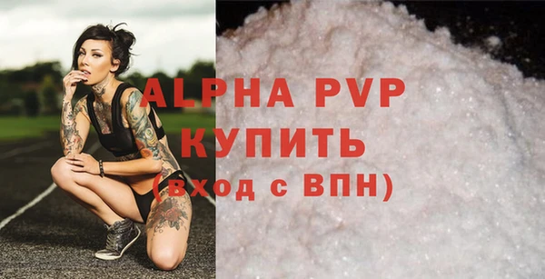 кокс Елизово