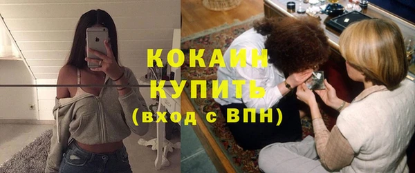 кокс Елизово